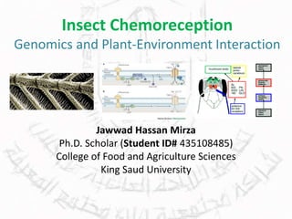 Insect Chemoreception
Genomics and Plant-Environment Interaction
Jawwad Hassan Mirza
Ph.D. Scholar (Student ID# 435108485)
College of Food and Agriculture Sciences
King Saud University
 