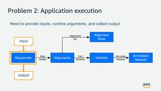 © 2017, Amazon Web Services, Inc. or its Affiliates. All rights reserved.
Problem 2: Application execution
Need to provide inputs, runtime arguments, and collect output
input
output
 