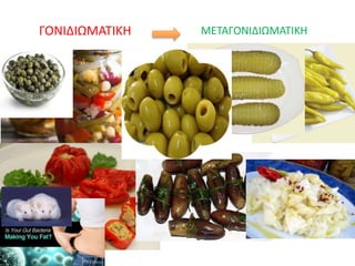 ΓΟΝΙΔΙΩΜΑΤΙΚΗ ΜΕΤΑΓΟΝΙΔΙΩΜΑΤΙΚΗ
 