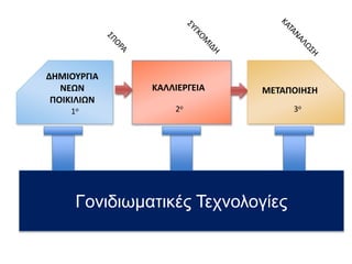ΔΗΜΙΟΥΡΓΙΑ
ΝΕΩΝ
ΠΟΙΚΙΛΙΩΝ
1ο 2ο
ΚΑΛΛΙΕΡΓΕΙΑ ΜΕΤΑΠΟΙΗΣΗ
3ο
Γονιδιωματικές Τεχνολογίες
 
