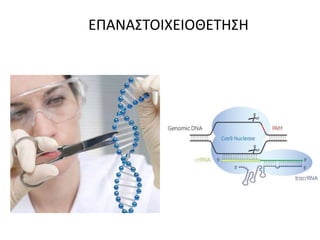 ΕΠΑΝΑΣΤΟΙΧΕΙΟΘΕΤΗΣΗ
 