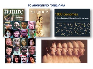 ΤΟ ΑΝΘΡΩΠΙΝΟ ΓΟΝΙΔΙΩΜΑ
 