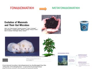 ΓΟΝΙΔΙΩΜΑΤΙΚΗ ΜΕΤΑΓΟΝΙΔΙΩΜΑΤΙΚΗ
 