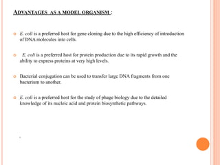 ADVANTAGES AS A MODEL ORGANISM :
 E. coli is a preferred host for gene cloning due to the high efficiency of introduction
of DNA molecules into cells.
 E. coli is a preferred host for protein production due to its rapid growth and the
ability to express proteins at very high levels.
 Bacterial conjugation can be used to transfer large DNA fragments from one
bacterium to another.
 E. coli is a preferred host for the study of phage biology due to the detailed
knowledge of its nucleic acid and protein biosynthetic pathways.
.
 