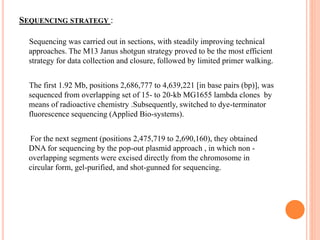 SEQUENCING STRATEGY :
Sequencing was carried out in sections, with steadily improving technical
approaches. The M13 Janus shotgun strategy proved to be the most efficient
strategy for data collection and closure, followed by limited primer walking.
The first 1.92 Mb, positions 2,686,777 to 4,639,221 [in base pairs (bp)], was
sequenced from overlapping set of 15- to 20-kb MG1655 lambda clones by
means of radioactive chemistry .Subsequently, switched to dye-terminator
fluorescence sequencing (Applied Bio-systems).
For the next segment (positions 2,475,719 to 2,690,160), they obtained
DNA for sequencing by the pop-out plasmid approach , in which non -
overlapping segments were excised directly from the chromosome in
circular form, gel-purified, and shot-gunned for sequencing.
 