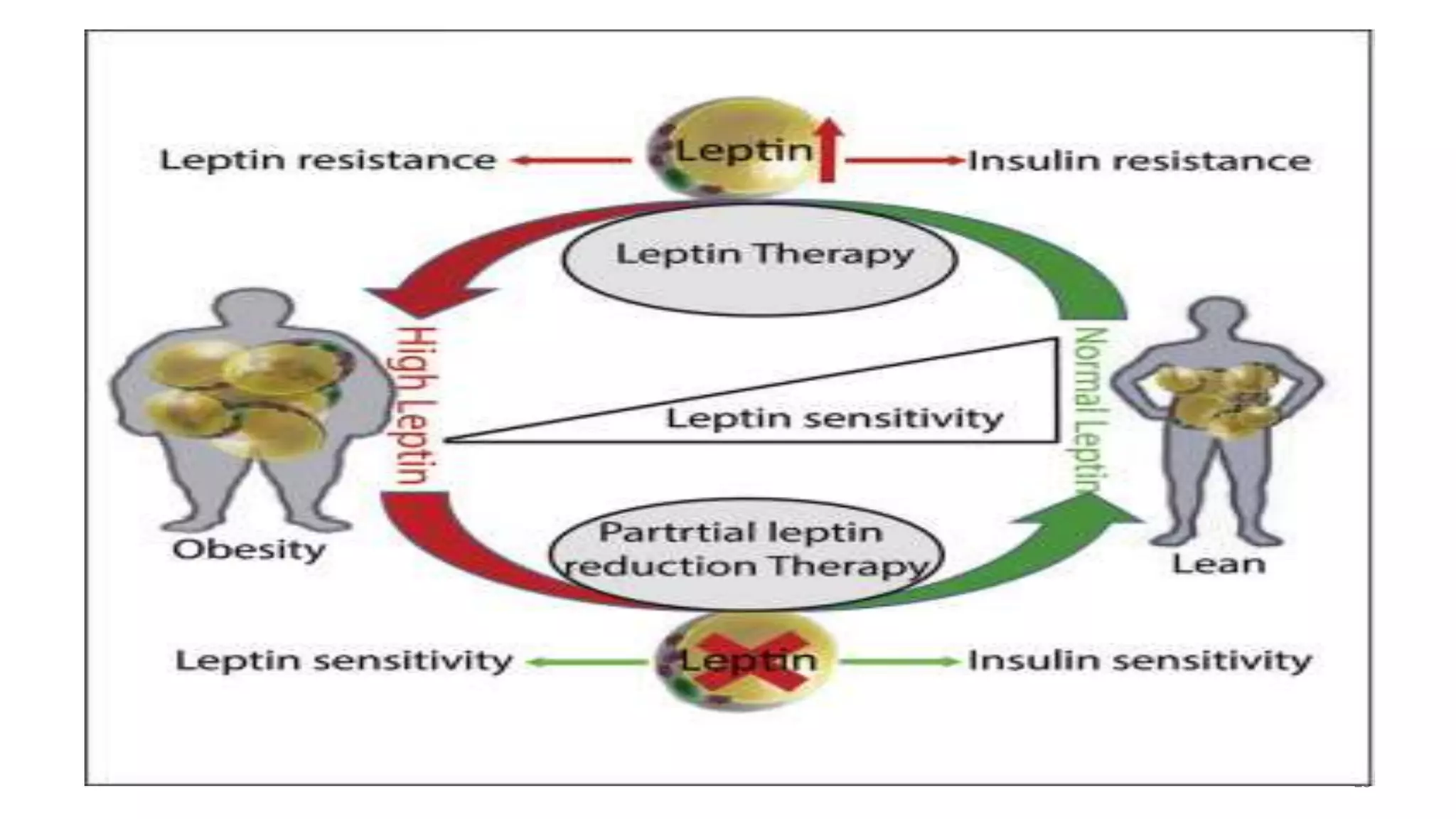 genetics and obesity | PPTX