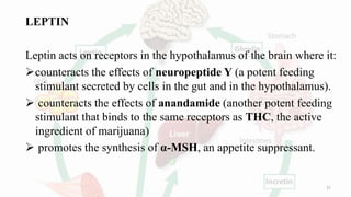 LEPTIN
Leptin acts on receptors in the hypothalamus of the brain where it:
counteracts the effects of neuropeptide Y (a potent feeding
stimulant secreted by cells in the gut and in the hypothalamus).
 counteracts the effects of anandamide (another potent feeding
stimulant that binds to the same receptors as THC, the active
ingredient of marijuana)
 promotes the synthesis of α-MSH, an appetite suppressant.
27
 