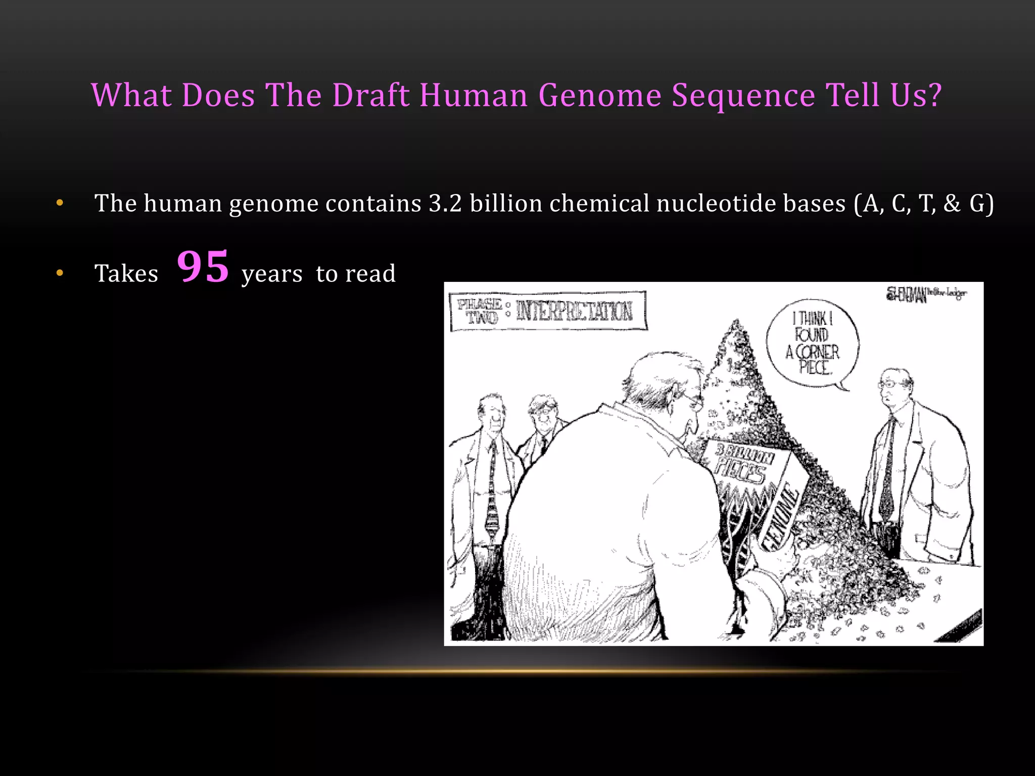 What Does The Draft Human Genome Sequence Tell Us?
• The human genome contains 3.2 billion chemical nucleotide bases (A, C, T, & G)
• Takes 95 years to read
 