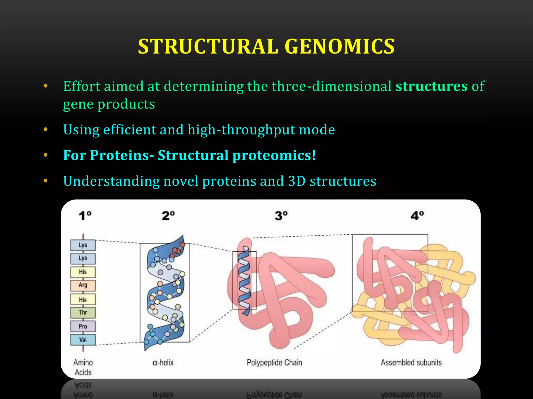 STRUCTURAL GENOMICS
• Effort aimed at determining the three-dimensional structures of
gene products
• Using efficient and high-throughput mode
• For Proteins- Structural proteomics!
• Understanding novel proteins and 3D structures
 