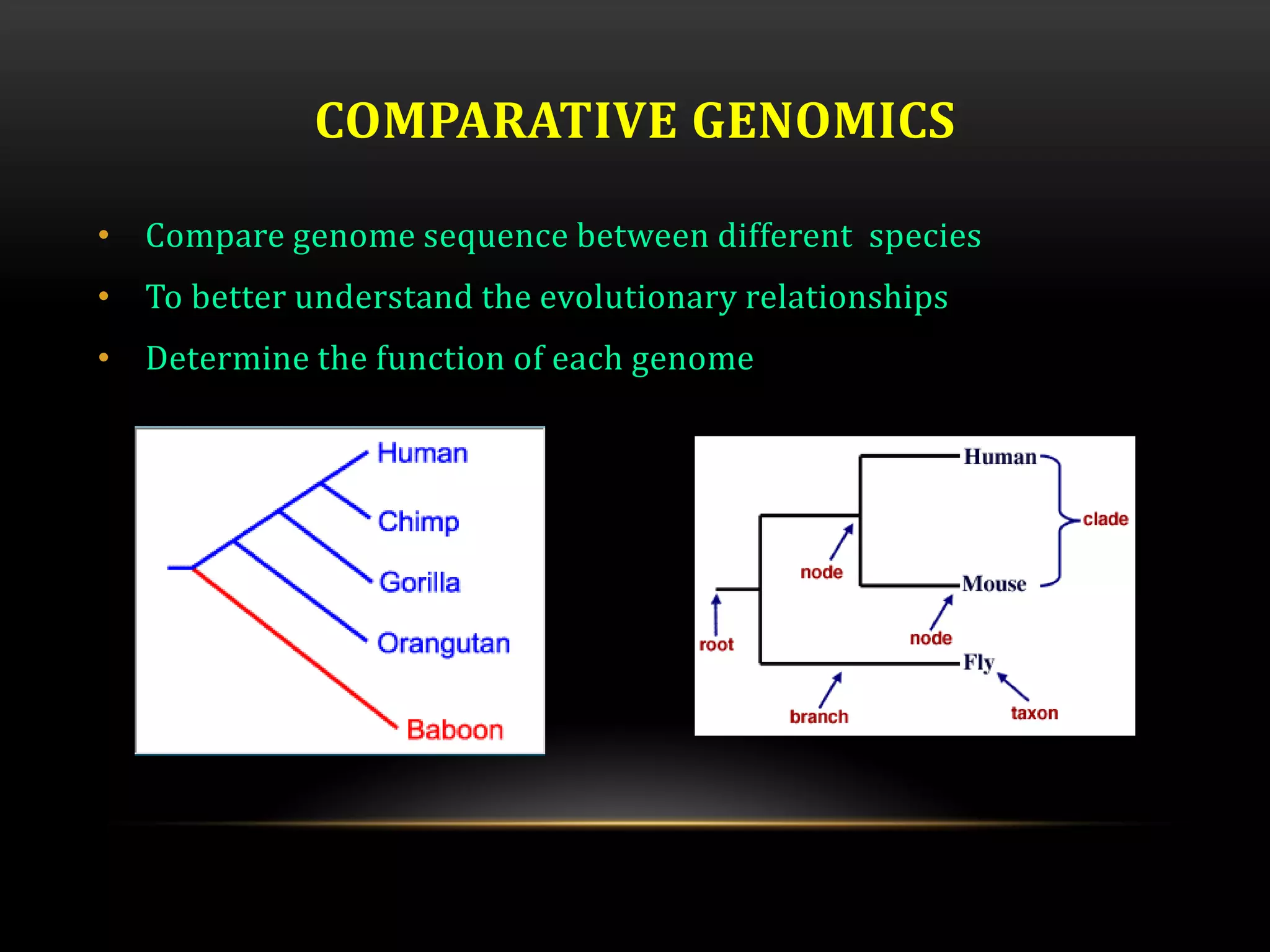 COMPARATIVE GENOMICS
• Compare genome sequence between different species
• To better understand the evolutionary relationships
• Determine the function of each genome
 