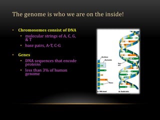 • Chromosomes consist of DNA
• molecular strings of A, C, G,
& T
• base pairs, A-T, C-G
• Genes
• DNA sequences that encode
proteins
• less than 3% of human
genome
The genome is who we are on the inside!
 