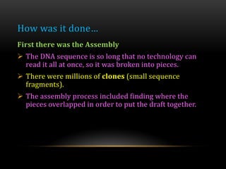 How was it done…
First there was the Assembly
 The DNA sequence is so long that no technology can
read it all at once, so it was broken into pieces.
 There were millions of clones (small sequence
fragments).
 The assembly process included finding where the
pieces overlapped in order to put the draft together.
 