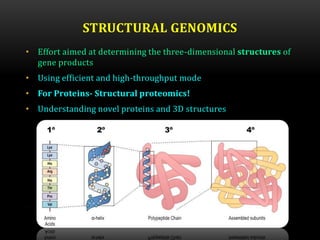 STRUCTURAL GENOMICS
• Effort aimed at determining the three-dimensional structures of
gene products
• Using efficient and high-throughput mode
• For Proteins- Structural proteomics!
• Understanding novel proteins and 3D structures
 