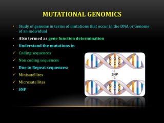 MUTATIONAL GENOMICS
• Study of genome in terms of mutations that occur in the DNA or Genome
of an individual
• Also termed as gene function determination
• Understand the mutations in
 Coding sequences
 Non coding sequences
• Due to Repeat sequences:
 Minisatellites
 Microsatellites
• SNP
 