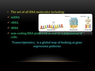 • The set of all RNA molecules including:
 mRNA
 rRNA
 tRNA
 non-coding RNA produced in one or a population of
cells
Transcriptomics, is a global way of looking at gene
expression patterns
 