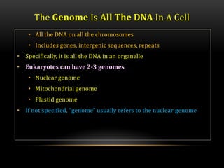 The Genome Is All The DNA In A Cell
• All the DNA on all the chromosomes
• Includes genes, intergenic sequences, repeats
• Specifically, it is all the DNA in an organelle
• Eukaryotes can have 2-3 genomes
• Nuclear genome
• Mitochondrial genome
• Plastid genome
• If not specified, “genome” usually refers to the nuclear genome
 