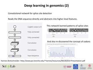Deep learning in genomics (2)
Convolutional network for splice site detection
Reads the DNA sequence directly and abstracts into higher-level features.
This network learned patterns of splice sites
And also re-discovered the concept of codons
Hannes Bretschneider: http://www.psi.toronto.edu/~hannes/resources/MLCB2014-Presentation.pdf
 