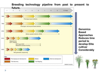Genomics Tools for Crop Improvement - Presentation | PPT