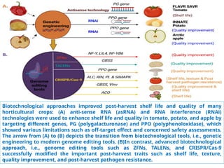Genomic study in fruit crops, coverse new investigation on Genomics and ...