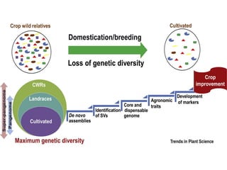Genomic study in fruit crops, coverse new investigation on Genomics and ...