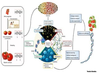 Genomic study in fruit crops, coverse new investigation on Genomics and ...