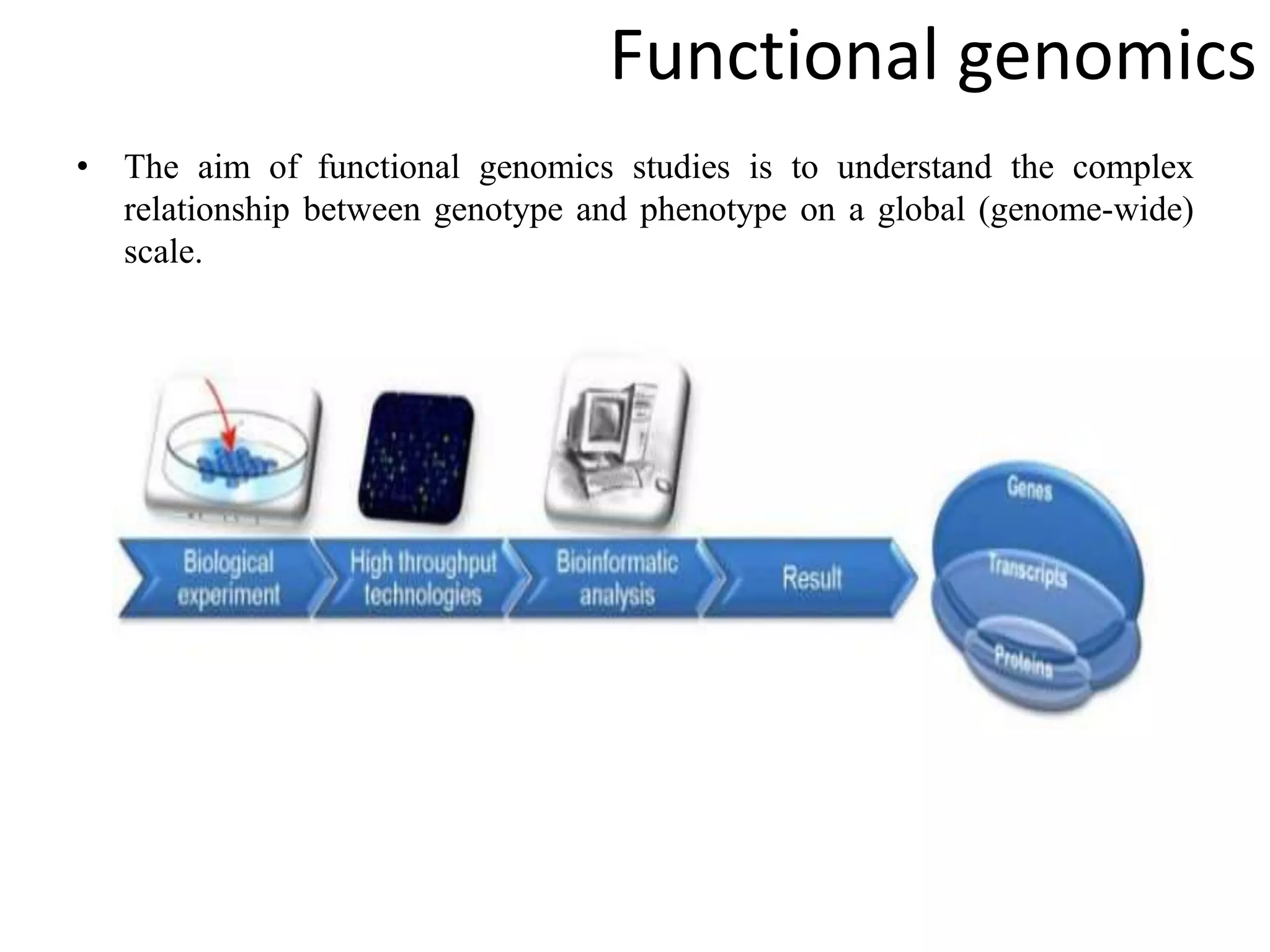 Functional genomics
• The aim of functional genomics studies is to understand the complex
relationship between genotype and phenotype on a global (genome-wide)
scale.
 