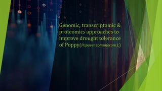 Genomic, transcriptomic &
proteomics approaches to
improve drought tolerance
of Poppy(Papaver somniferum.L)
 