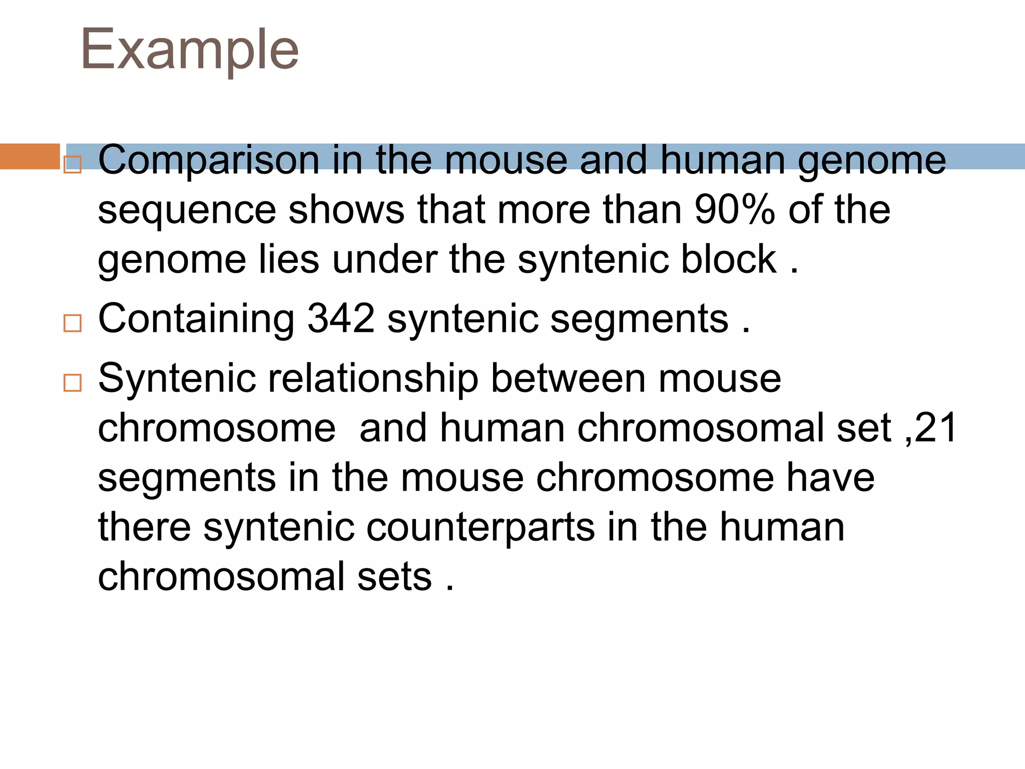Example
 Comparison in the mouse and human genome
sequence shows that more than 90% of the
genome lies under the syntenic block .
 Containing 342 syntenic segments .
 Syntenic relationship between mouse
chromosome and human chromosomal set ,21
segments in the mouse chromosome have
there syntenic counterparts in the human
chromosomal sets .
 