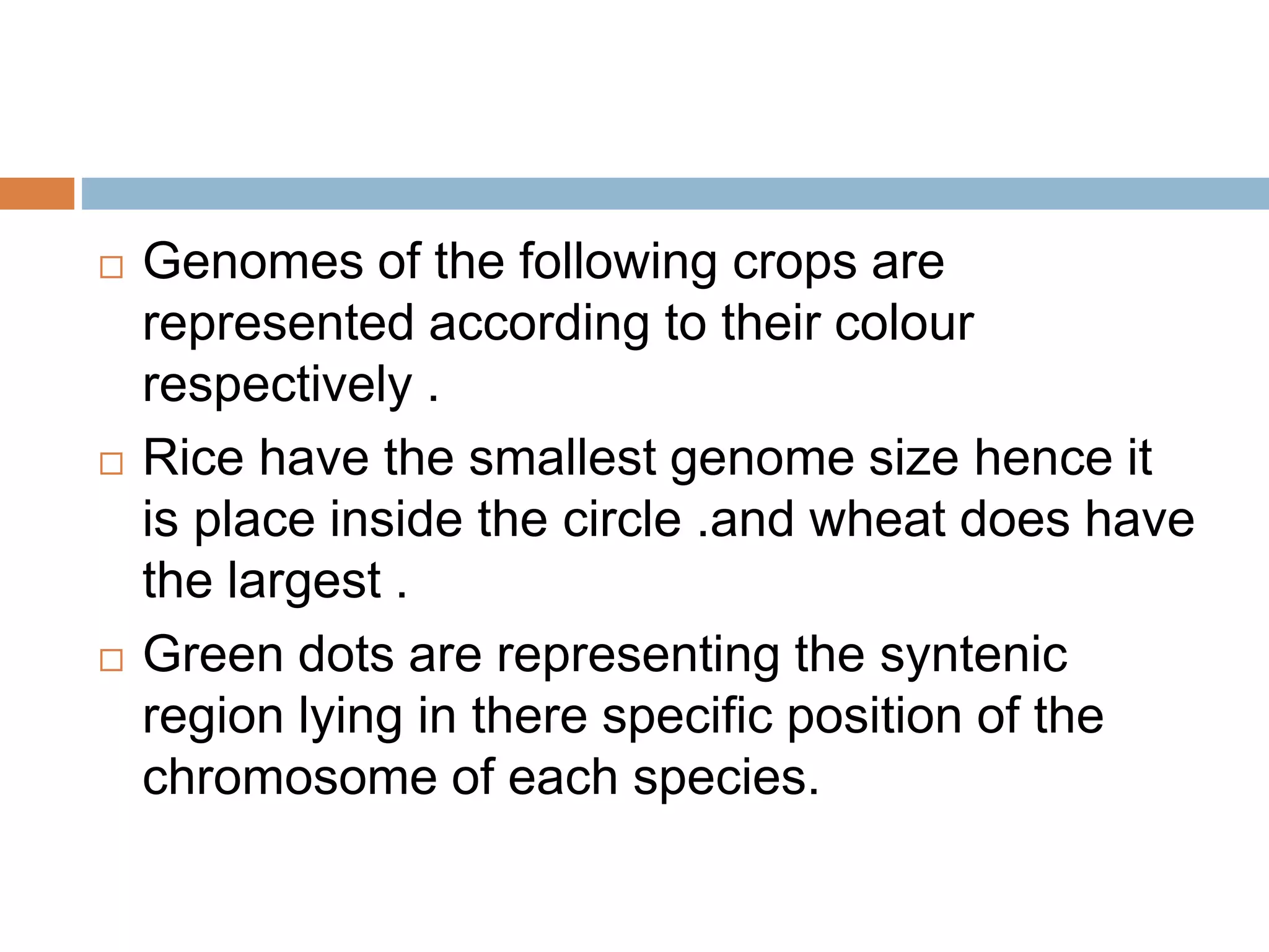  Genomes of the following crops are
represented according to their colour
respectively .
 Rice have the smallest genome size hence it
is place inside the circle .and wheat does have
the largest .
 Green dots are representing the syntenic
region lying in there specific position of the
chromosome of each species.
 