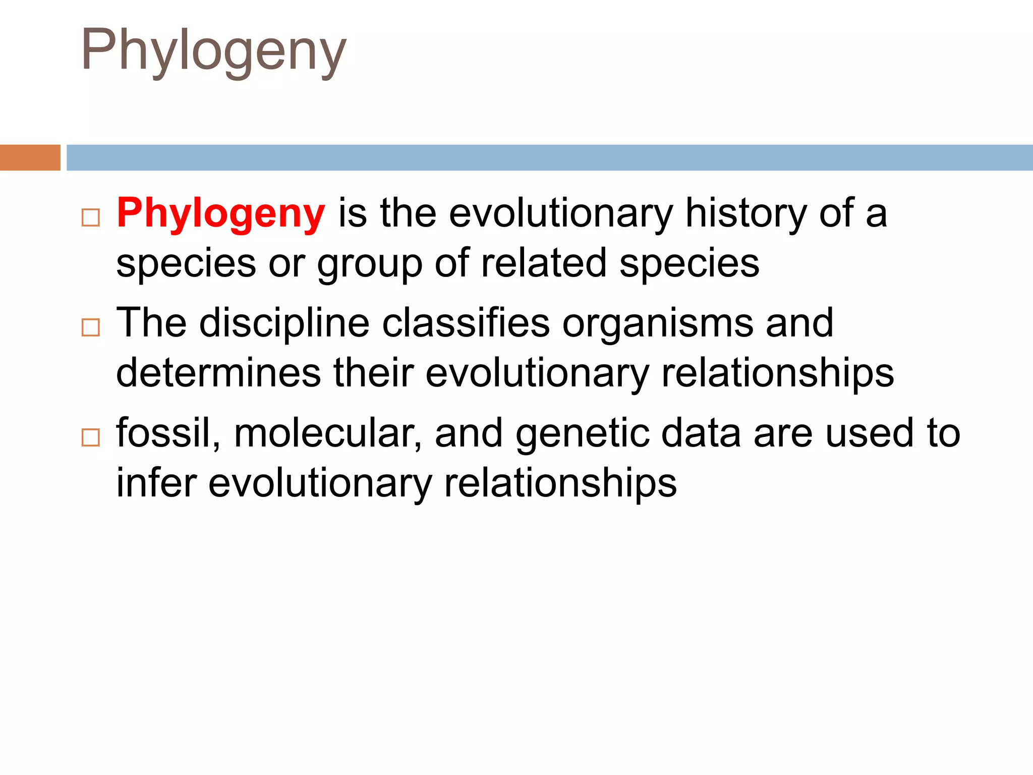 Phylogeny
 Phylogeny is the evolutionary history of a
species or group of related species
 The discipline classifies organisms and
determines their evolutionary relationships
 fossil, molecular, and genetic data are used to
infer evolutionary relationships
 