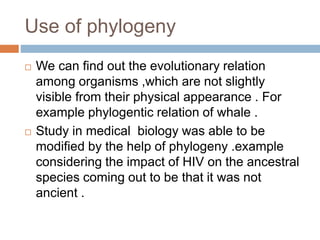 Use of phylogeny
 We can find out the evolutionary relation
among organisms ,which are not slightly
visible from their physical appearance . For
example phylogentic relation of whale .
 Study in medical biology was able to be
modified by the help of phylogeny .example
considering the impact of HIV on the ancestral
species coming out to be that it was not
ancient .
 
