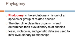 Phylogeny
 Phylogeny is the evolutionary history of a
species or group of related species
 The discipline classifies organisms and
determines their evolutionary relationships
 fossil, molecular, and genetic data are used to
infer evolutionary relationships
 