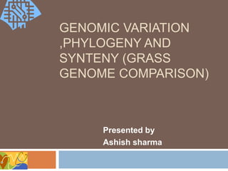 GENOMIC VARIATION
,PHYLOGENY AND
SYNTENY (GRASS
GENOME COMPARISON)
Presented by
Ashish sharma
 