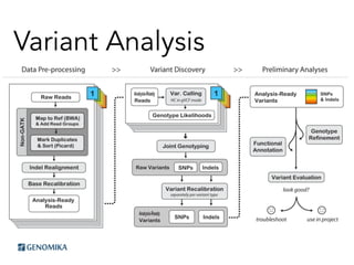 Variant Analysis
 