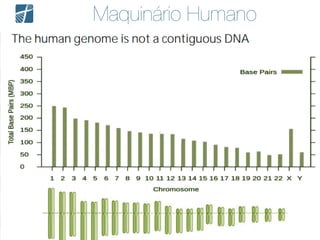 Maquinário Humano
 