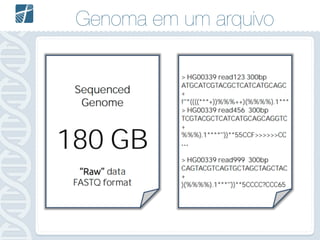 Genoma em um arquivo
 