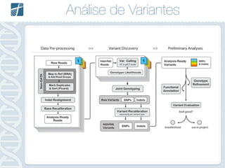 Análise de Variantes
 