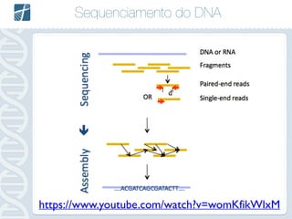 Sequenciamento do DNA
https://www.youtube.com/watch?v=womKfikWlxM
 