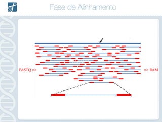 Fase de Alinhamento
FASTQ =>
FASTQ => => BAM
 