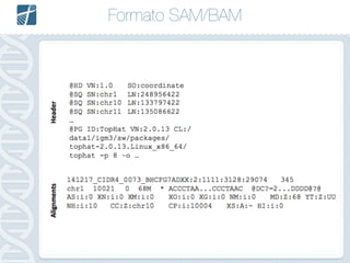 Formato SAM/BAM
FASTQ =>
 