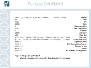 Formato SAM/BAM
FASTQ =>
 