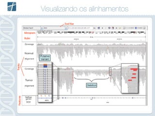 Visualizando os alinhamentos
 