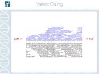 Variant Calling
FASTQ =>BAM => => VCF
 