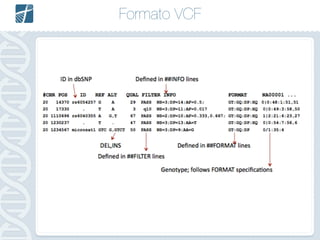 Formato VCF
FASTQ =>
 