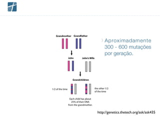 Aproximadamente
300 - 600 mutações
por geração.
http://genetics.thetech.org/ask/ask435
 