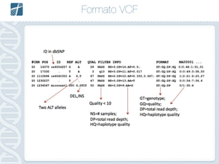 Formato VCF
FASTQ =>
 