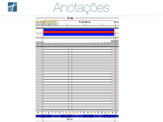 Anotações
 
