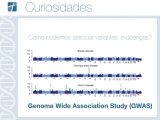 Curiosidades
Como podemos associar variantes e doenças?
“Genome Wide Association Study (GWAS)”
Genome Wide Association Study (GWAS)
 