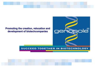 Promoting the creation, relocation and development of  biotechcompanies 