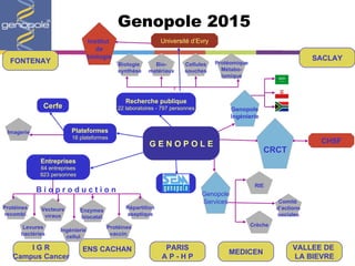 Genopole 2015 Entreprises 64 entreprises 923 personnes Recherche publique 22 laboratoires - 797 personnes SACLAY FONTENAY I G R Campus Cancer PARIS A P - H P MEDICEN VALLEE DE  LA BIEVRE Plateformes 16 plateformes Cerfe Institut  de biologie CRCT G E N O P O L E Protéomique Métabo- lomique Biologie  synthèse Bio- matériaux Cellules souches ENS CACHAN Vecteurs viraux Enzymes  biocatal . Protéines  recombi . Répartition aseptique Ingénierie  cellul . Levures bactéries Protéines vaccin . Genopole Services RIE Crèche Comité  d’actions sociales B i o p r o d u c t i o n Imagerie Genopole Ingénierie Université d’Evry CHSF 